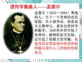 人教版八年级下册生物课件   7.2.3基因的显性和隐性