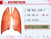 2020-2021学年人教版七年级生物下册 4.3.2发生在肺内的气体交换  课件