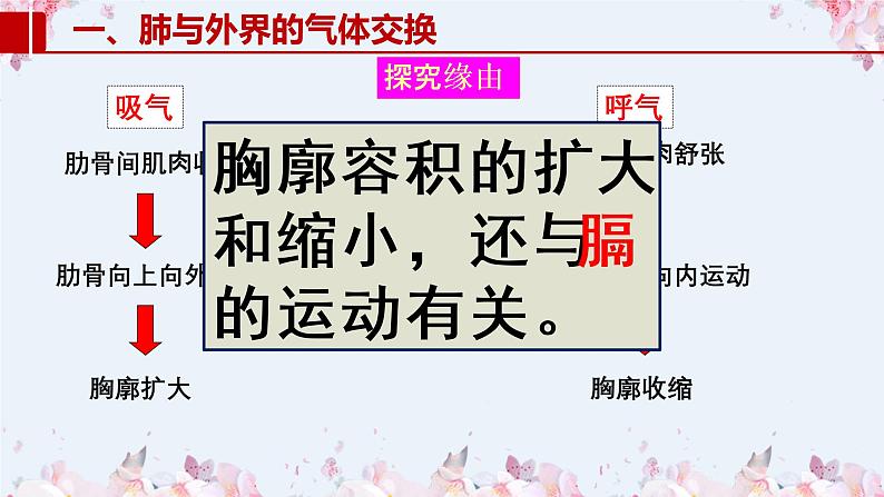 2020-2021学年人教版七年级生物下册 4.3.2发生在肺内的气体交换  课件08