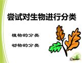 人教版生物八年级上册课件：6.1.1尝试对生物进行分类 （共41张PPT）