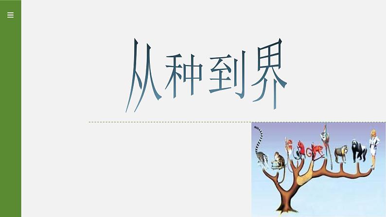 人教版八年级上册6.1.2 从种到界 课件01