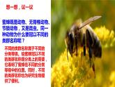 人教版八年级上册6.1.2 从种到界 课件