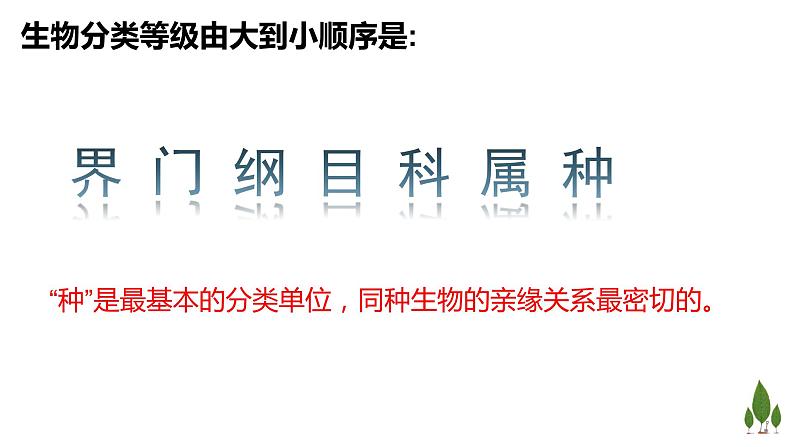 人教版八年级上册6.1.2 从种到界 课件05