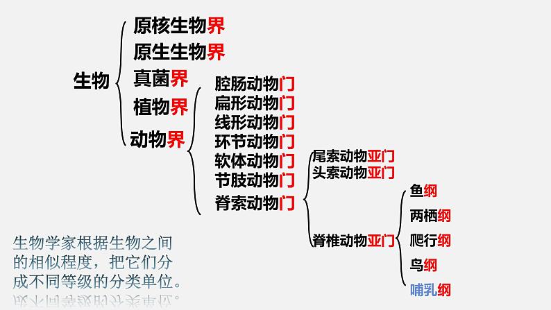 人教版八年级上册6.1.2 从种到界 课件06