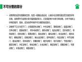 人教版生物八年级上册课件：6.1.2  从种到界（共21张PPT）