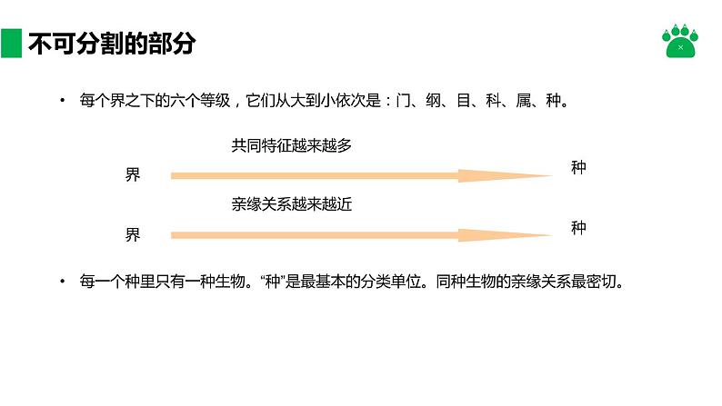 人教版生物八年级上册课件：6.1.2  从种到界（共21张PPT）07