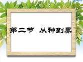 人教版八年级生物上册   6.1.2   从种到界 课件