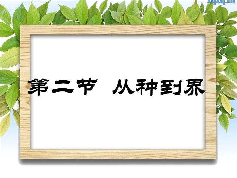 人教版八年级生物上册   6.1.2   从种到界 课件02