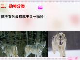 人教版八年级生物上册   6.1.2   从种到界 课件