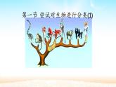 人教版八年级上册6.1.1  尝试对生物进行分类 课件