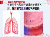 2020-2021学年人教版七年级生物下册 4.3.2发生在肺内的气体交换  课件