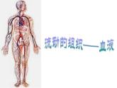 2020-2021学年人教版七年级下册生物第四单元第四章第一节　流动的组织——血液课件