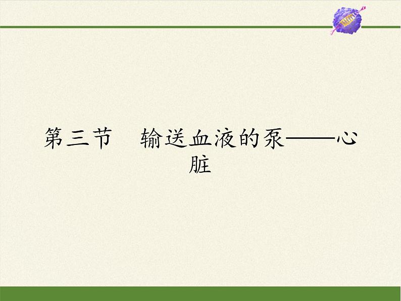 2020--2021学年人教版七年级生物下册4.4.3 输送血液的泵——心脏  课件第1页