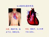 2020--2021学年人教版七年级生物下册4.4.3 输送血液的泵——心脏  课件