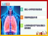 2020-2021学年人教版七年级生物下册4.3.1呼吸道对空气的处理 课件