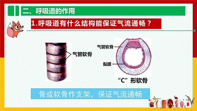 人教版七年级生物下 4.3.1呼吸道对空气的处理 课件第7页