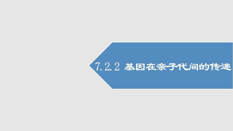 2020--2021学年人教版八年级下册7.2.2基因在亲子代间的传递课件01