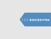 2020--2021学年人教版八年级下册7.2.3基因的显性和隐性课件