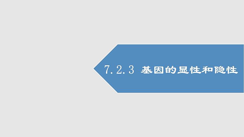 2020--2021学年人教版八年级下册7.2.3基因的显性和隐性课件01