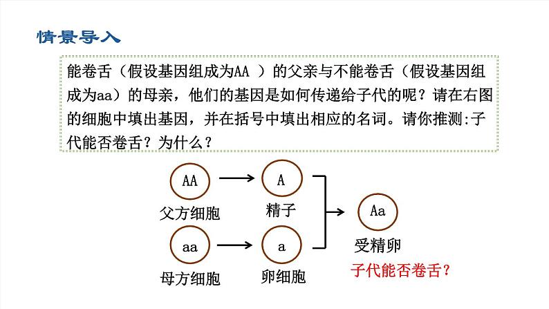 2020--2021学年人教版八年级下册7.2.3基因的显性和隐性课件02