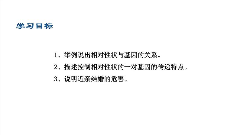 2020--2021学年人教版八年级下册7.2.3基因的显性和隐性课件03