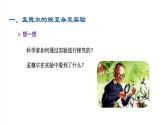 2020--2021学年人教版八年级下册7.2.3基因的显性和隐性课件