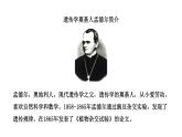 2020--2021学年人教版八年级下册7.2.3基因的显性和隐性课件