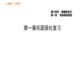 2020--2021学年人教版八年级下册生物课件 第8单元 第一章巩固强化复习