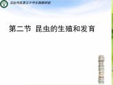 2020--2021学年人教版八年级下册生物7-1-2昆虫的生殖和发育课件
