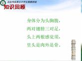 2020--2021学年人教版八年级下册生物7-1-2昆虫的生殖和发育课件