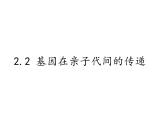 2020—2021学年人教版生物八年级下册7.2.2基因在亲子代间的传递课件