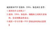 2020—2021学年人教版生物八年级下册7.2.2基因在亲子代间的传递课件