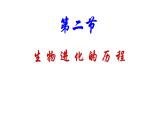 2020—2021学年人教版生物八年级下册7.3.2生物进化的历程 课件