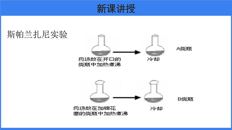 第三章 第一节 地球上生命的起源第7页