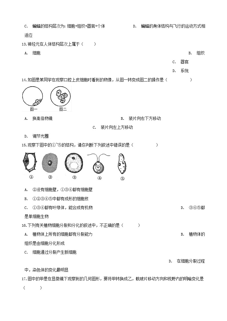 2021年中考生物必考知识点生物体的结构层次专项训练20210220266第3页