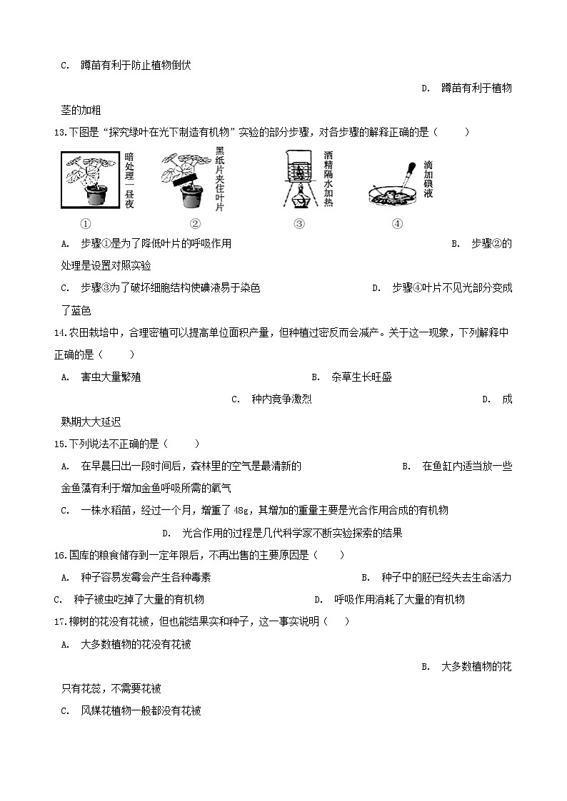 2021年中考生物必考知识点生物圈中的绿色植物专项训练20210220262第3页