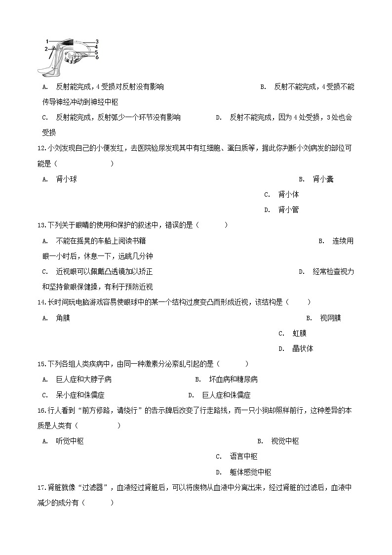 2021年中考生物必考知识点生物圈中的人专项训练20210220263第3页