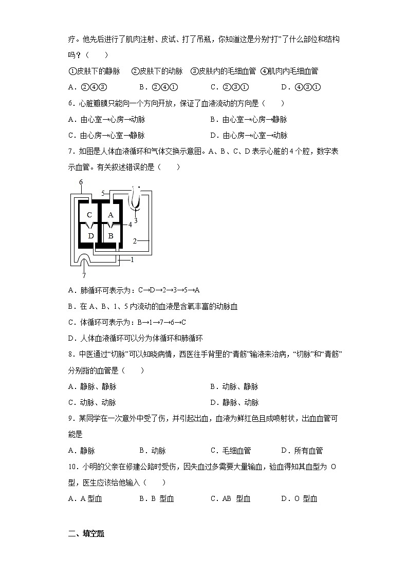 2020-2021学年翼少版七年级下册第二章爱护心脏确保运输测试卷（Word版 含答案）02