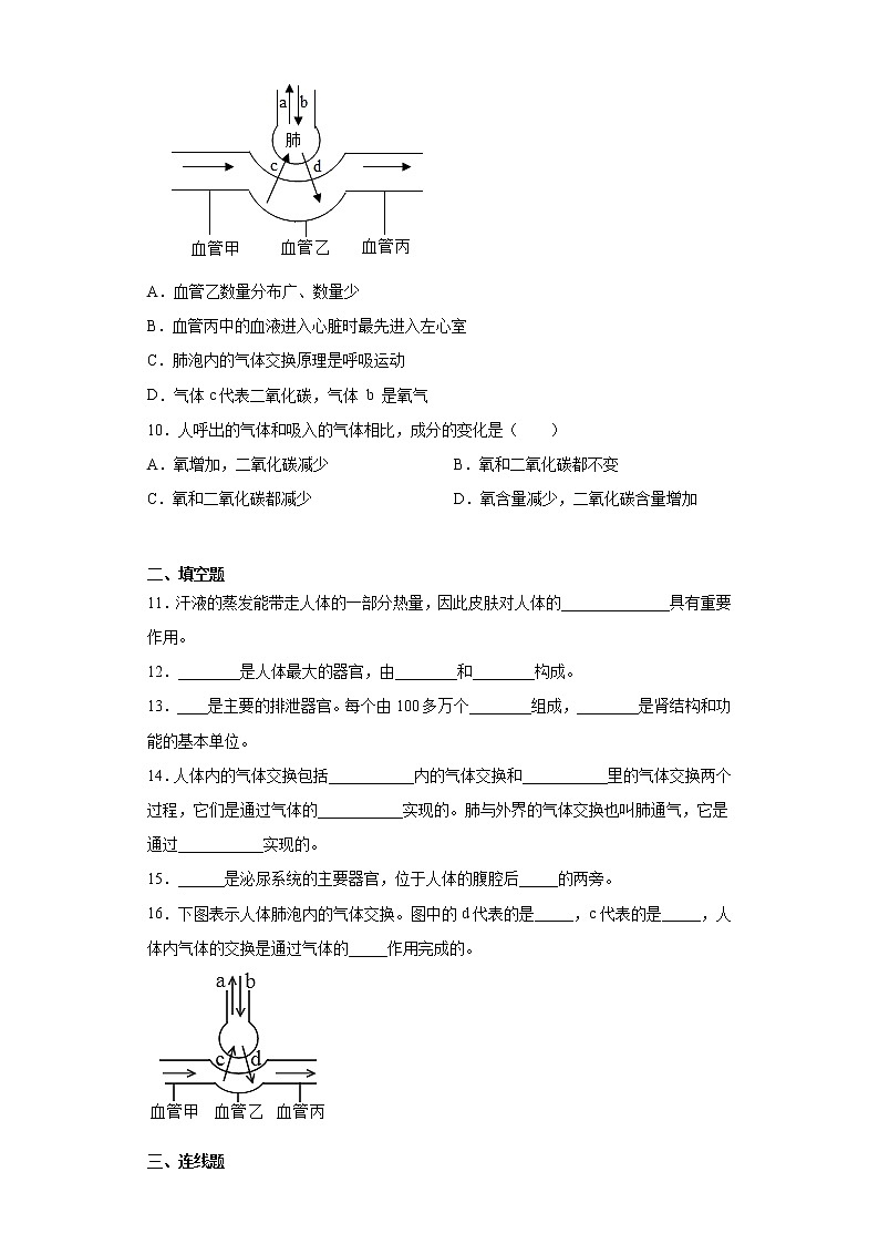 2020-2021学年 冀教版七年级下册第三章健肺强肾精力充沛测试卷（Word版 含答案）03