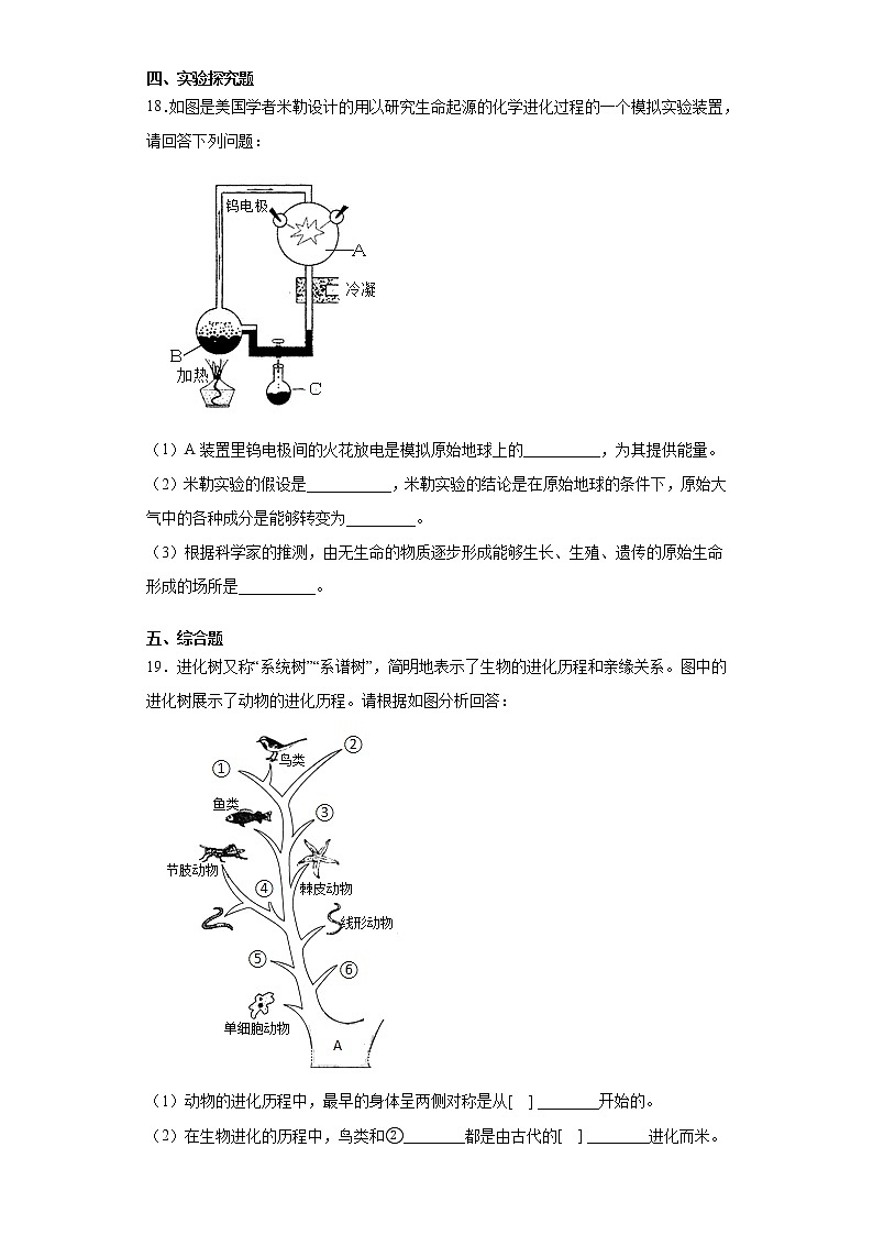 2020-2021学年冀教版八年级下册第六单元第三章生物的起源与进化测试卷（Word版 含答案）03