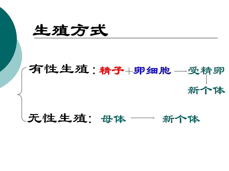 人教版八年级生物下册全册知识点复习课件第3页