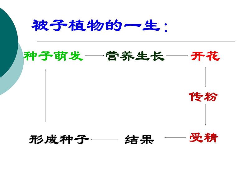 人教版八年级生物下册全册知识点复习课件第4页