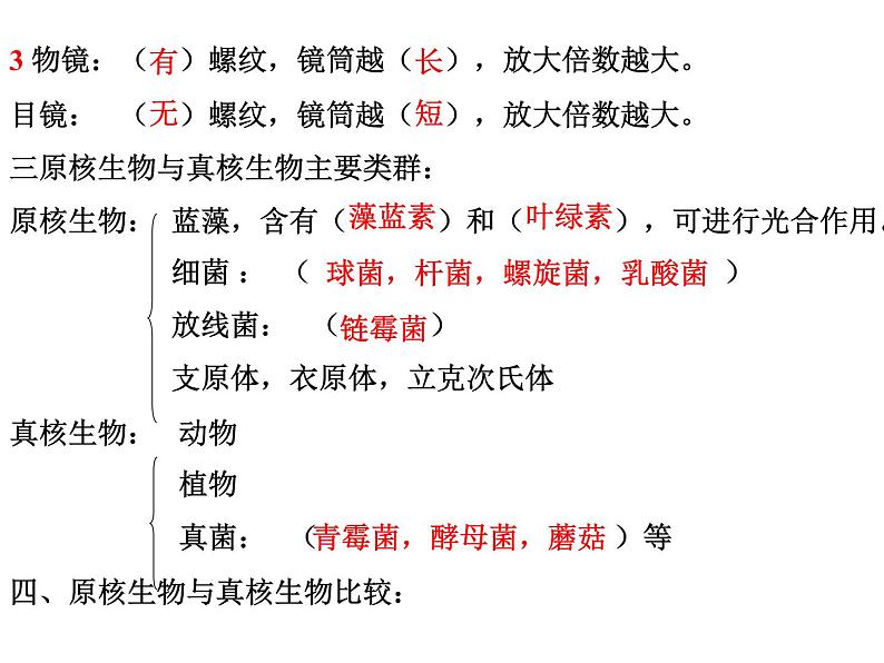 中考生物考点知识点精编课件04