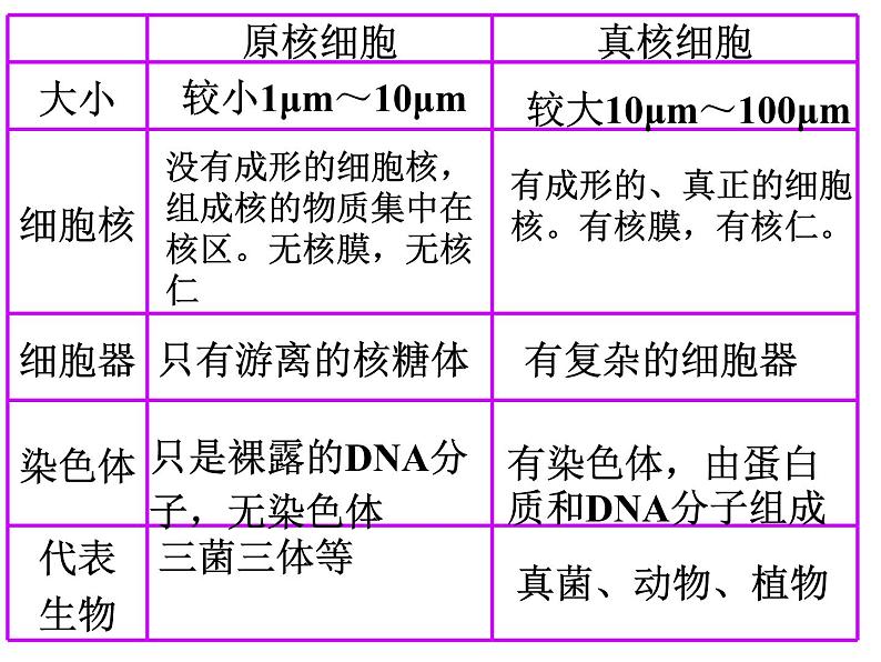 中考生物考点知识点精编课件05