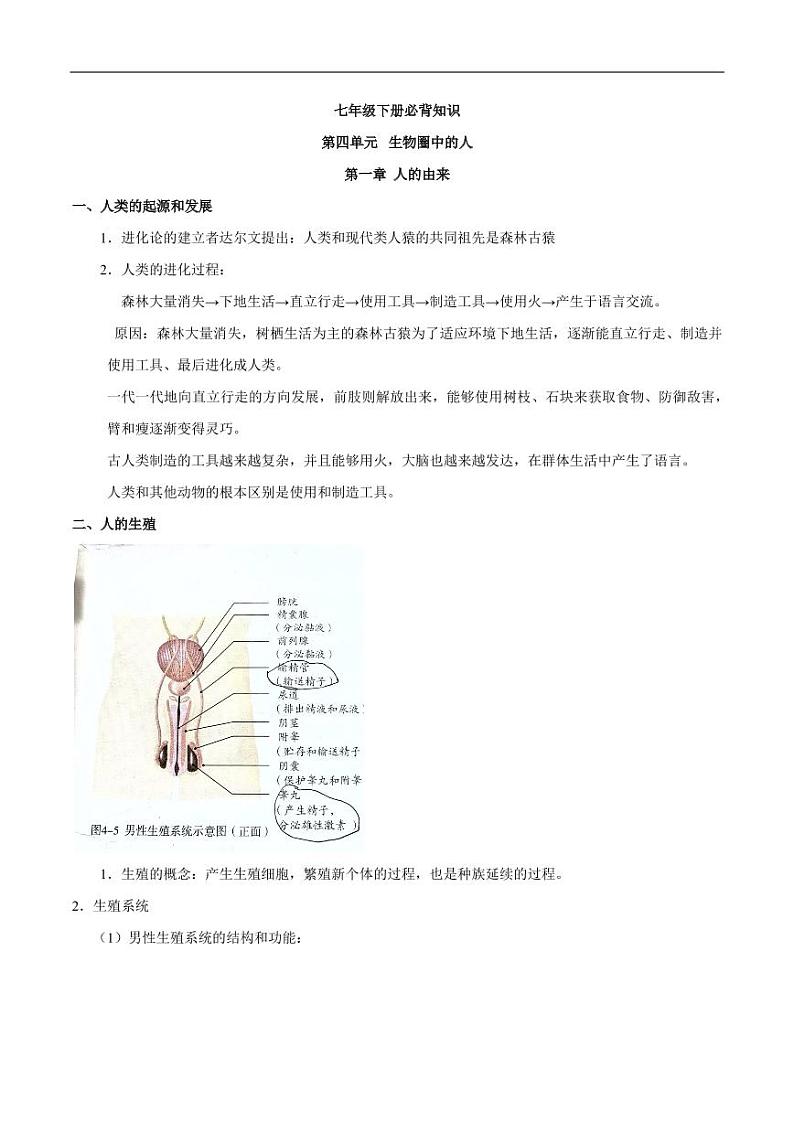 （人教版）中考生物必背七年级下册知识合集01