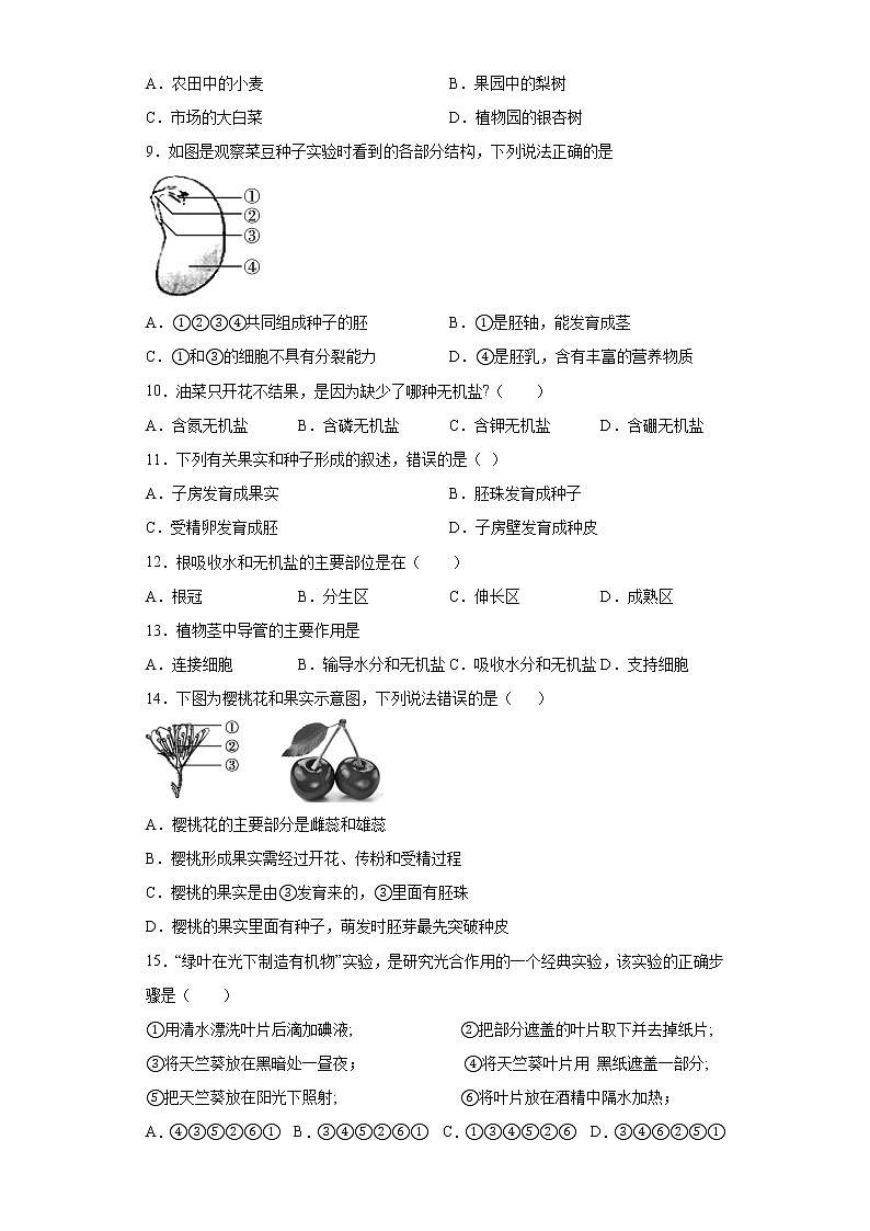 湖北省襄阳市襄州区2020-2021学年七年级上学期期末生物试题（word版 含答案）02