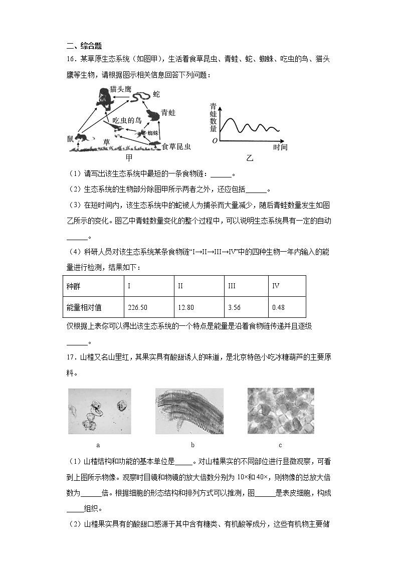 湖北省襄阳市襄州区2020-2021学年七年级上学期期末生物试题（word版 含答案）03