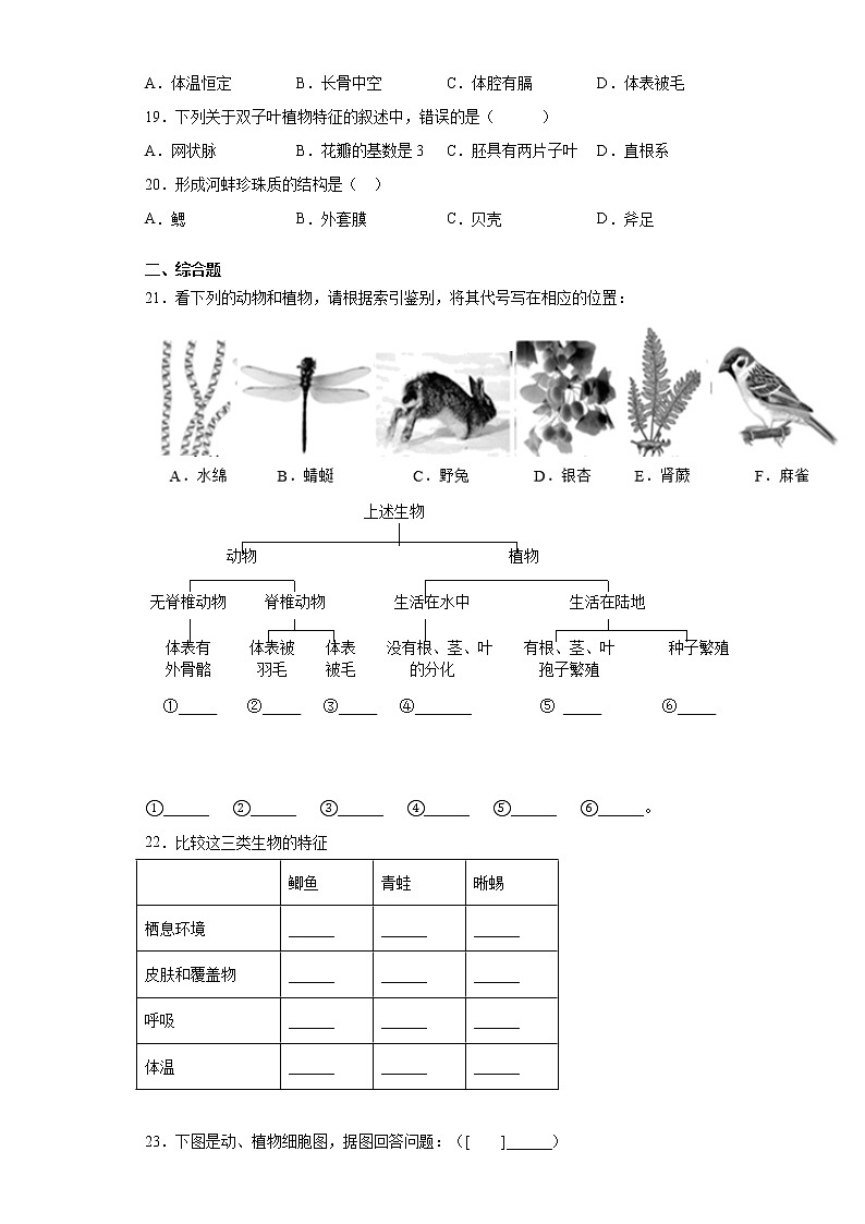 河北省石家庄市栾城区2020-2021学年七年级上学期期末生物试题（word版 含答案）03