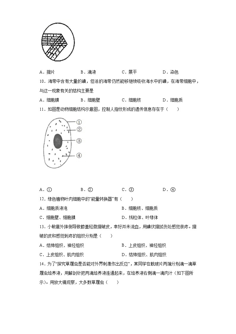陕西省榆林市2020-2021学年七年级上学期期末生物试题（word版 含答案）第2页