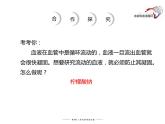 北师大版七年级生物下册9.1 血液 精品课件